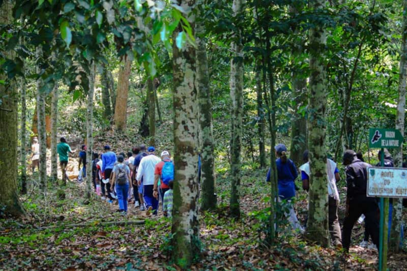 Abidjan Ecotour : Forêt du Banco – Plongée naturelle au cœur d’Abidjan